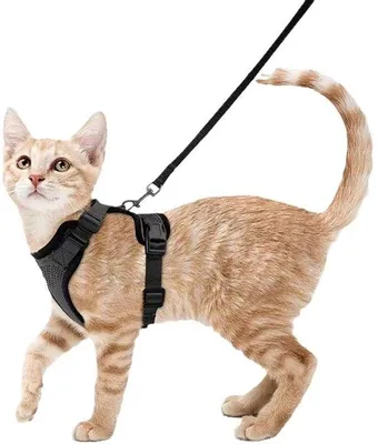 Immagine prodotto di Accessori per gatti, pettorina anti-fuga, gabbia di trasporto, giacca riflettente traspirante, nera, taglia extra small