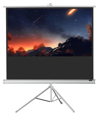 Produktbild von celexon Stativleinwand Economy 219 x 123 cm - White Edition