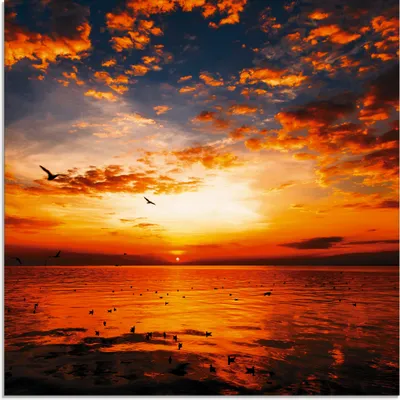 Produktbild von ARTland Glasbild Sonnenuntergang am Strand Größe: 30x30 cm
