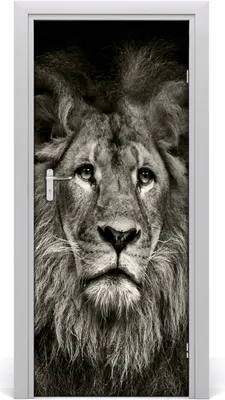 Produktbild von Tulup Türaufkleber 85x205 cm Dekorative Aufkleber Selbstklebend Wasserdichte Tapete Abnehmbar Schlafzimmer Wohnzimmer Wohnkultur - Lion Wand