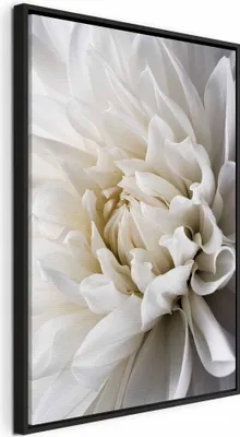 Produktbild von Italienischer Leinwand Leinwandbild - White Dahlia 60x90 cm Blumen b-B-0112-b-a