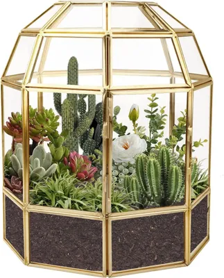 Imagen del producto de Terrario geométrico Famanu de 9,2 pulgadas - forma de casa, color