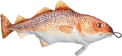Produktbild von Fladen Stofftier Dorsch Länge 60 cm Fischkissen