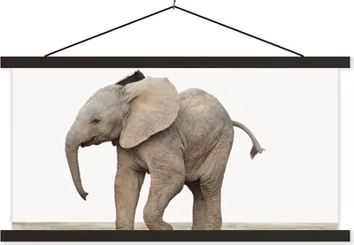 Produktbild von MuchoWow® Textilposter Baby-Elefant - Tiere - Kinder - Mädchen - Jungen 150x75 cm mit schwarzem Rahmen - Posterleiste