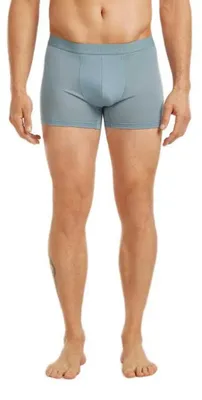 Image de Boxer Icebreaker Merino 125 Cool-lite Anatomica Bleu L Homme Bleu L