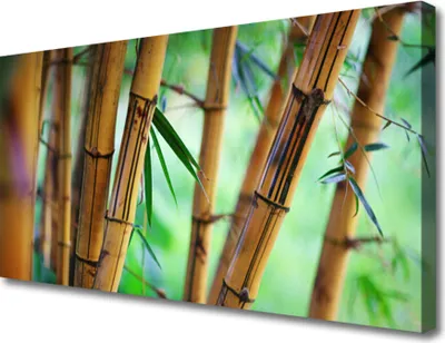 Produktbild von Tulup Leinwand-Bilder 100x50 Wandbild Canvas Kunstdruck Bambusrohr Natur