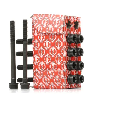 Image de Kit de vis à tête cylindrique Elring 374.240