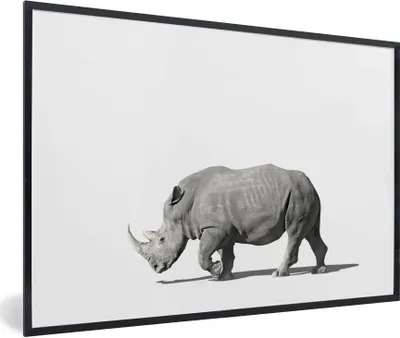 Produktbild von MuchoWow® Gerahmtes Poster Rhinozeros - Tiere - Weiß 30x20 cm - Poster mit Schwarzem Bilderrahmen Wandposter Rahmen Foto Bilder - Kunstdruck - Bild-Poster