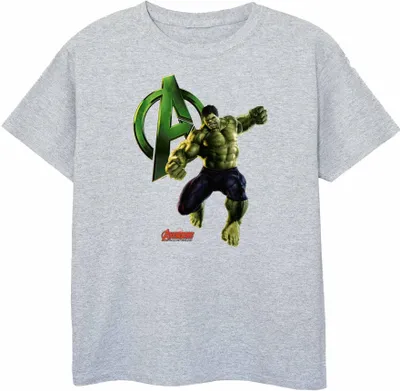 Obrázek produktu pro Hulk - chlapecké tričko BI453 (116) (šedá)