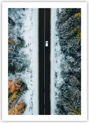Produktbild von Poster - Poster ohne Rahmen - Wald Weg Schnee - 50x70 cm - Wand Bild - Wanddeko - Wandbilder - Kunstposter - Wandposter - Bilder - Kunstdruck - Wanddekoration - Wandbild - P2XPA50x70-4654