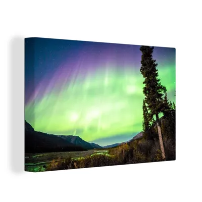 Obrázok produktu pre OneMillionCanvasses® - Maľba na plátne - Obraz na plátne Nástenná maľba na plátne - Polárna žiara - strom - hora - príroda - 150x100cm - Fotografia na