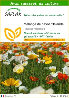 Image de SAFLAX  - Mélange de pavot d'Islande - 8000 graines - Avec substrat - Papaver
