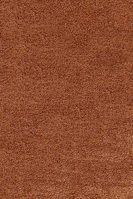 A close-up, full-frame shot of a shaggy rug.
