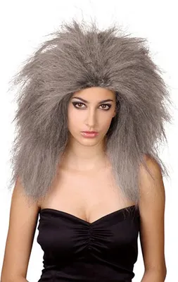 Produktbild von Graue Damen Hexen Perücke (Strubbelkopf)