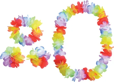 Immagine prodotto di Set di 4 fiori hawaiani multicolore