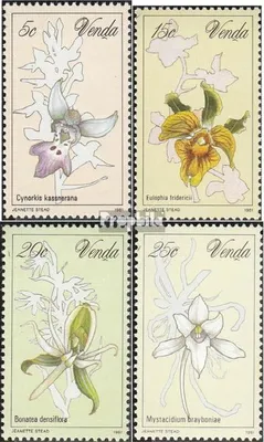Produktbild von Briefmarken Südafrika - Venda 1981 Mi 46-49 (kompl.Ausg.) gestempelt Orchideen