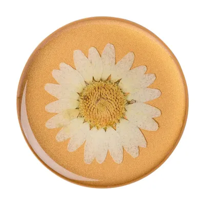 Produktbild von PopSockets Pressed Flower White Daisy, Griffigkeit, Mehrfarbig, Universal, 1 Stück(e), 38,8 mm, 38,8 mm