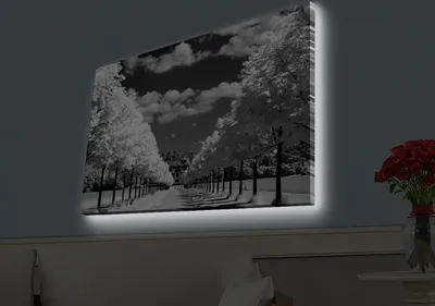 Produktbild von Opviq, 4570HDACT- LED4507, Bunt, Leinwandbilder, 45 x 70 cm, 100% Wildleder -Leinwand