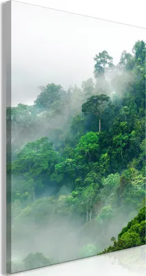 Produktbild von Italienischer Leinwand Leinwandbild - Lush Forest (1 Part) Vertical 20x30 cm Landschaften c-B-0527-b-a