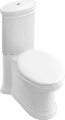 A white ceramic toilet is shown from a three-quarter angle against a white background.