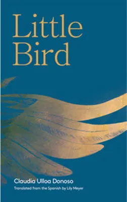 Image de Little Bird