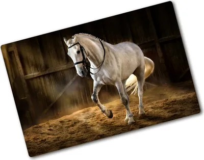 Produktbild von Tulup Glas Herdabdeckplatte - 80x52 cm - Glaskeramikkochfeld-Abdeckung Spritzschutz Glasabdeckplatte - Einteilig - Tiere - Schimmel im Stall - Weiß