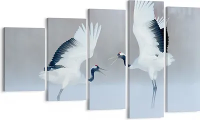 Produktbild von Bild auf Leinwand - Leinwandbild - 5 Teile - Kraniche kämpfen tanzen - 100x60cm - Wand Bild - Wanddeko - Wandbilder - Leinwanddruck - Bilder - Wanddekoration - Leinwand bilder - EG100x60-4497