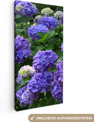 Produktbild von MuchoWow® - Leinwandbilder - Lila Hortensien in einem japanischen Garten, Wandbild, Wanddeko Bilder Wohnzimmer, 20x40 cm