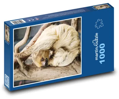 Obrázok produktu pre martinpuzzle - Puzzle 1000 dielikov - Lenochod