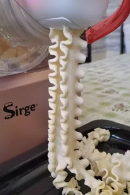 Image de Machine à pâtes fraîches maison 300 W jusqu'à 900 g de pâtes - 22 matrices pour TOUS types de farine même sans GLUTEN