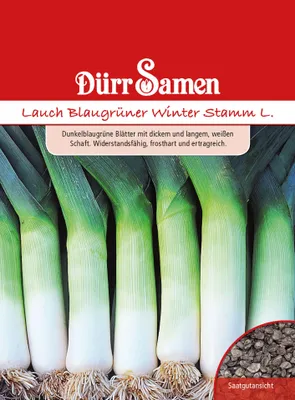 Produktbild von Lauch Blaugrüner Winter Stamm L. | Lauchsamen von Dürr Samen
