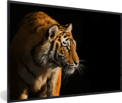 Produktbild von MuchoWow® MuchoWow® Gerahmtes Poster Tiger - Jagd - Sonne 90x60 cm - Poster mit zchwarzem Bilderrahmen - Fotorahmen - Foto-Plakat