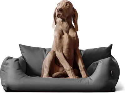 Produktbild von tierlando NEMO Hundebett Hundesofa S M L Hundekorb Katzenbett 65 80 100cm - Größe: 65x50cm | Farbe: 06 Grau