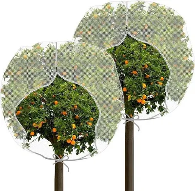 Produktbild von Famanu Vogelnetz 2,4 x 2,4 m - Wiederverwendbares Schutznetz für Pflanzen