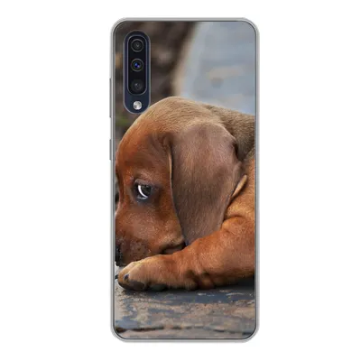 Produktbild von MuchoWow® Handyhülle Schutzhülle Hülle für Samsung Galaxy A50 Dackelwelpe liegt am Rande des Bürgersteigs Silikon Softcase Handy Hülle - Mobiltelefonhülle