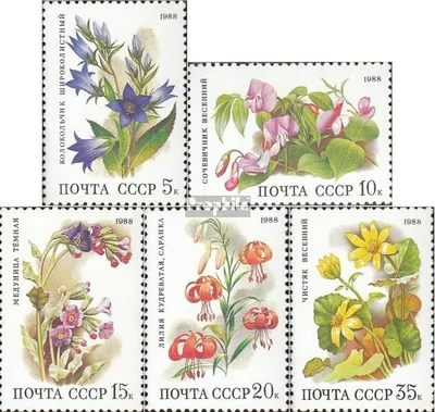 Produktbild von Briefmarken Sowjetunion 1988 Mi 5847-5851 (kompl.Ausg.) postfrisch Blumen