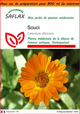 Image de SAFLAX Garden in the bag - Souci - 50 graines - Calendula