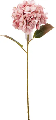 Produktbild von Künstliche Hortensie als Dekorationsblume, 76 cm – rosa, H&L