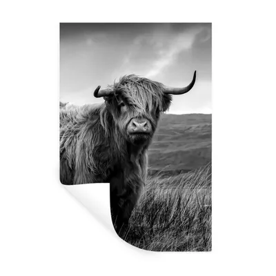 Produktbild von MuchoWow® Wandtattoo Wandsticker Wandaufkleber Schottischer Highlander - Berg - Wasser - Natur - Kuh 20x30 cm Selbstklebend und Repositionierbar - Sticker - Dekorfolie