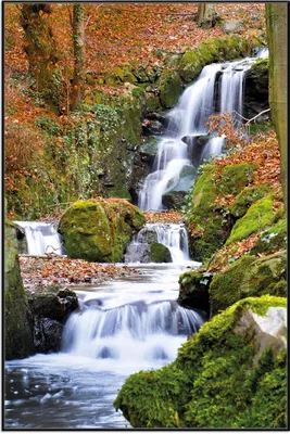 Produktbild von Wallario Wandbild Bach im Wald, Größe: 61 x 91,50 cm, Poster mit schwarzem Aluminiumrahmen