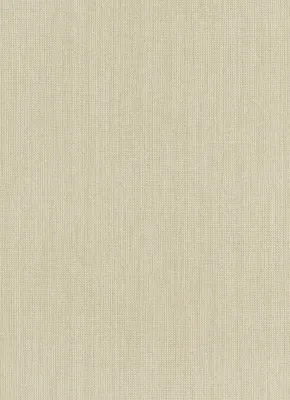 Produktbild von Erismann Vliestapete 6309-02 Paradiso 2 uni beige 10,05 x 0,53 m