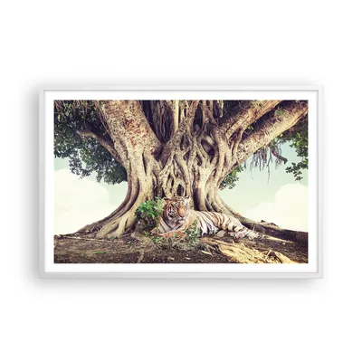 Produktbild von Gerahmtes Poster - Weißer Rahmen - Tiger Wild Baum - 91,5x61 cm - Wand Bild - Wanddeko - Wandbilder - Kunstposter - Wandposter - Bilderrahmen - Bilder - Kunstdruck - Wanddekoration - P2WAA91x61-5124
