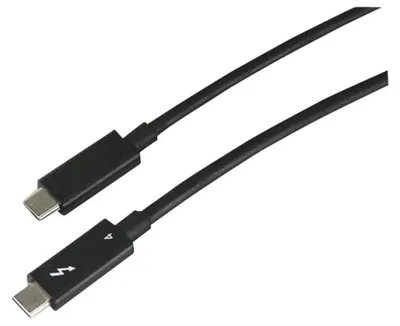 Obrázok produktu pre Lenovo 4Z51A40455, Samec, Samec, 2 m, Čierna, 40 Gbit/s, 1 kusov