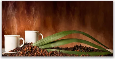Produktbild von Küchenrückwand aus Glas 140x70cm Spritzschutz Tassen Kaffeebohnen Küche