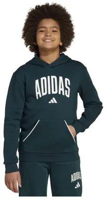 Immagine prodotto di Felpa con cappuccio Adidas JV7337 da Bambino
