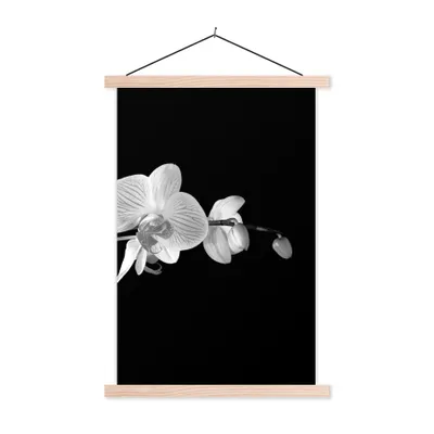 Produktbild von MuchoWow® Textilposter Orchidee - Blumen - Schwarz - Rosa - Knöpfe 120x180 cm mit holzfarbenen Rahmen