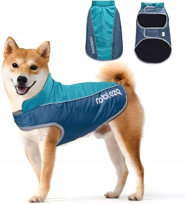 Image de Nobleza Veste Impermeable Chien Bleu Taille XL