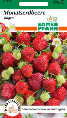Produktbild von Monatserdbeere Rügen | Erdbeersamen von Samen Pfann