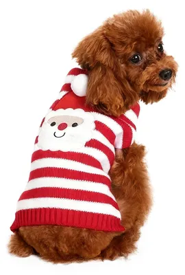 Immagine prodotto di Maglione natalizio per cani, indumento in maglia per cani e gatti, taglia M, 1 pezzo