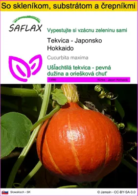 Obrázok produktu pre SAFLAX Kultivačný set - Tekvica - Japonsko Hokkaido - Cucurbita maxima - 10 Semená - S mini skleníkom, pestovateľským substrátom a 2 črepníkmi